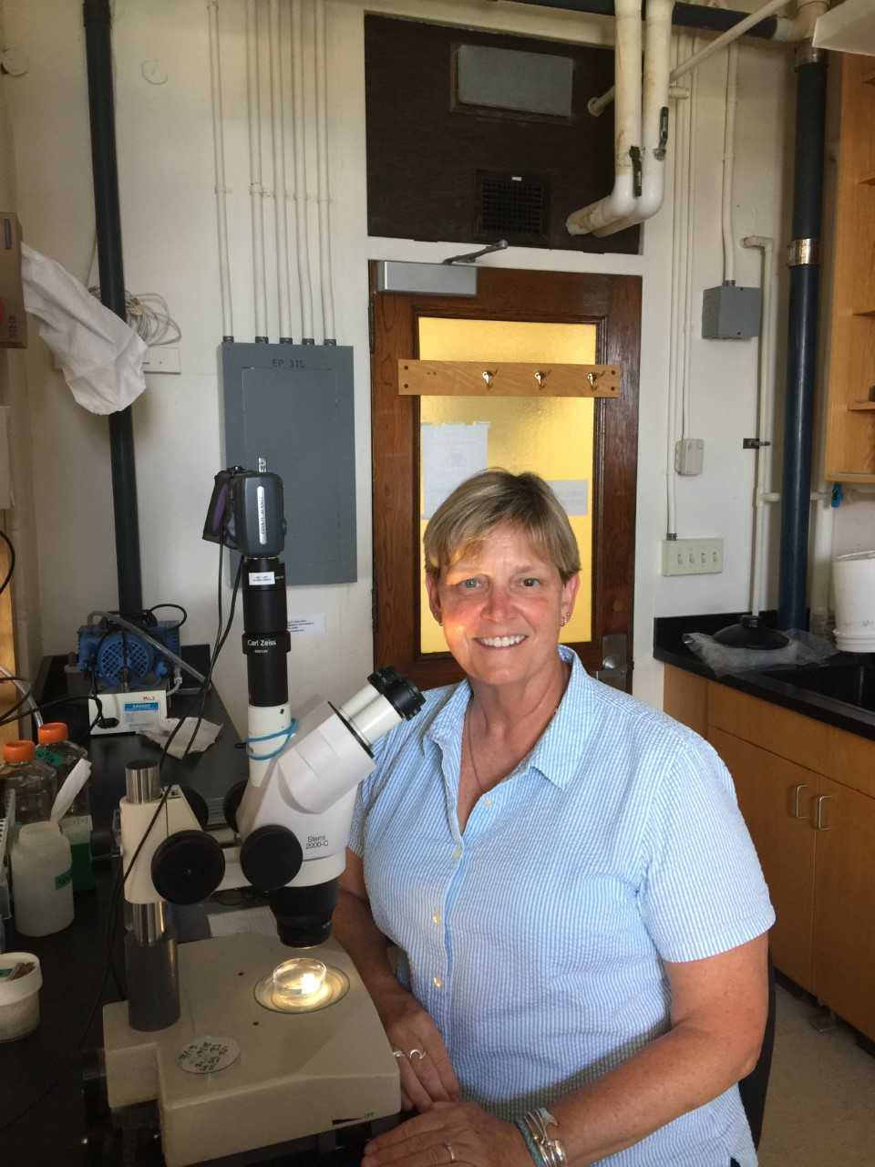 Karen Crawford in her MBL laboratory.