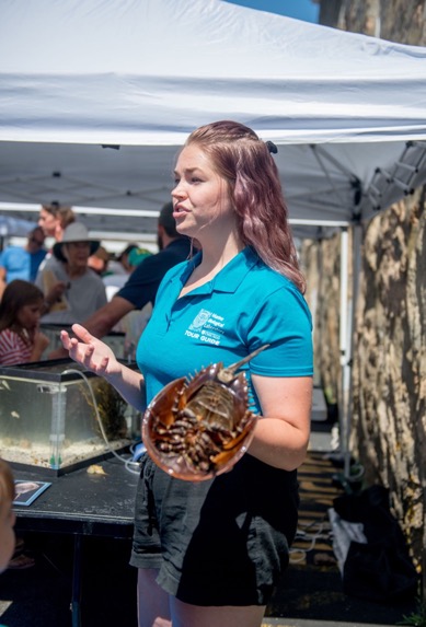 MBL Education Aquarist Lauren Smith tells visitors about major scientific discoveries that have stemmed from studies of the horseshoe crab.