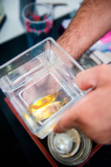 The MBL's Marine Resources Center displayed chain catshark embryos inside their egg casings.