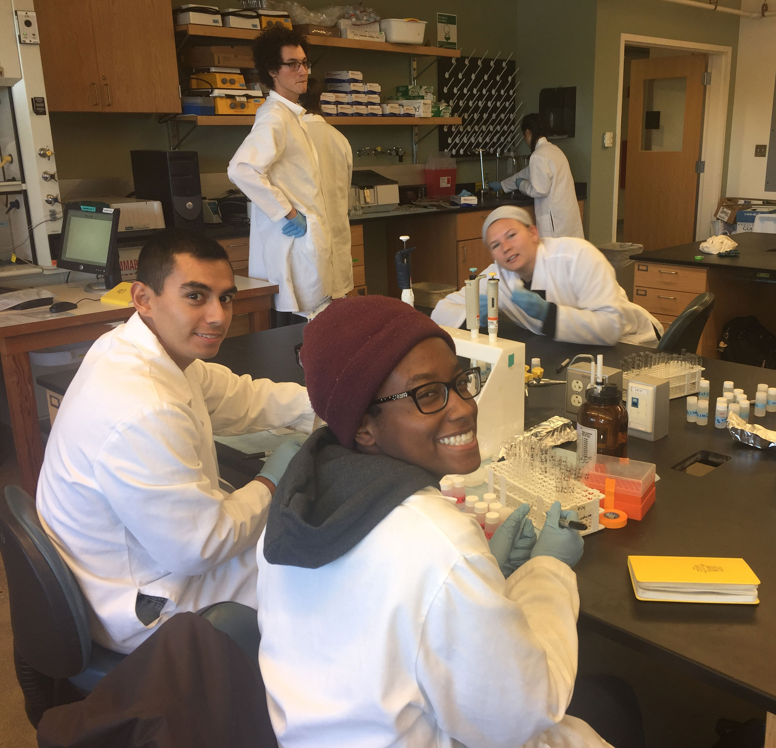 SES students in the lab at MBL in 2018. Credit: Ken Foreman