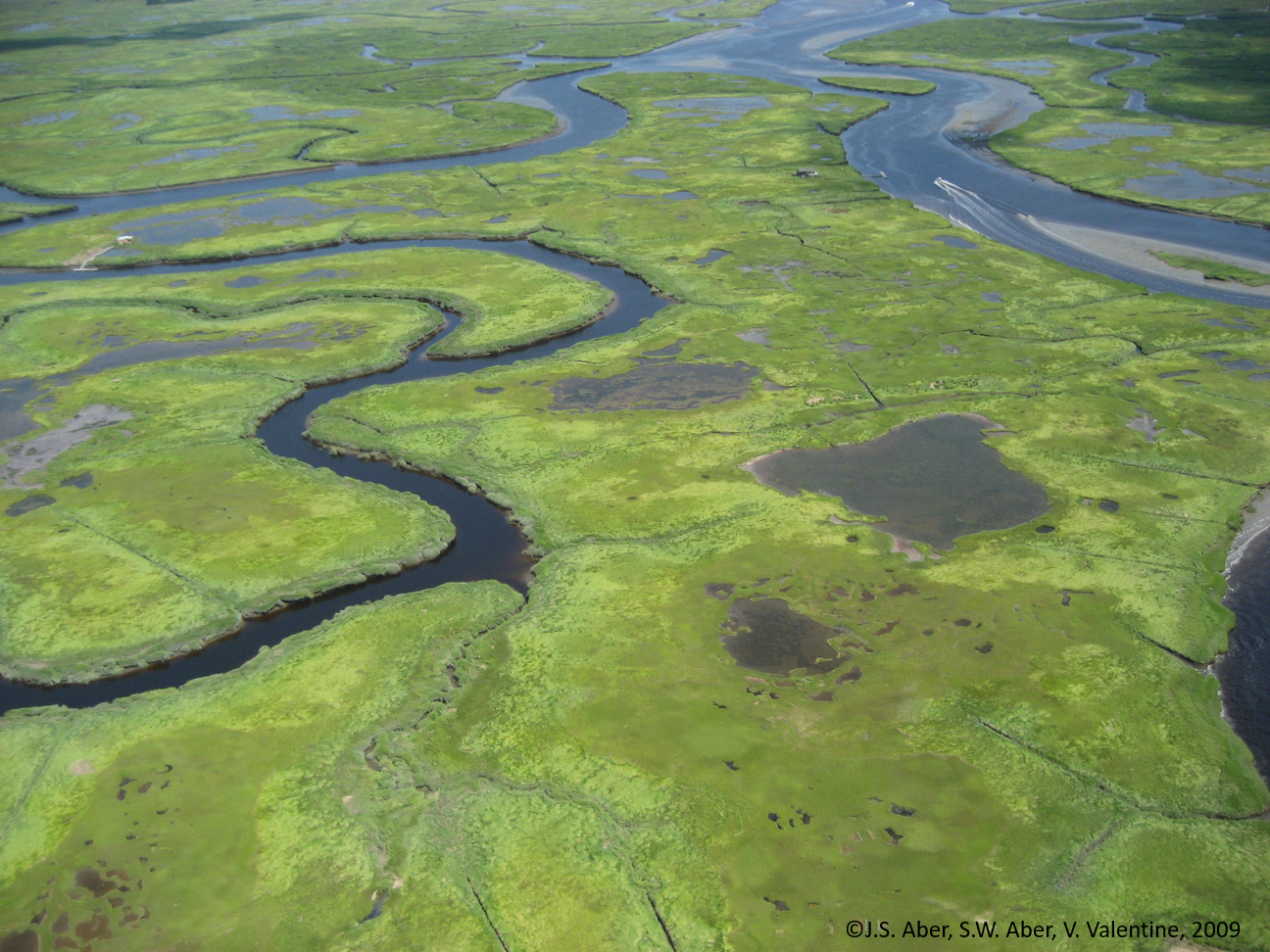 Salt marshes sequester carbon at rates more than an order of magnitude greater than their terrestrial counterparts. Core samples for this study where taken from this marsh in Rowley, Mass., part of the Plum Island Ecosystems NSF-LTER site. Credit: Aber, Aber, and Valentine 2009.