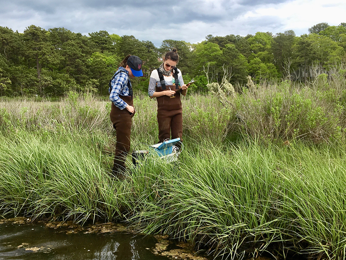Environmental Fellows Sarah Kaplan of The Washington Post and María Mónica Monsalve of El Espectador field sampling in Woods Hole. Credit: Craig LeMoult