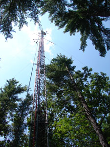 Cameras and sensors installed in a tower at Harvard Forest in central Massachusetts continuously collect environmental data, including of photosynthetically active radiation. Credit: Jim Tang