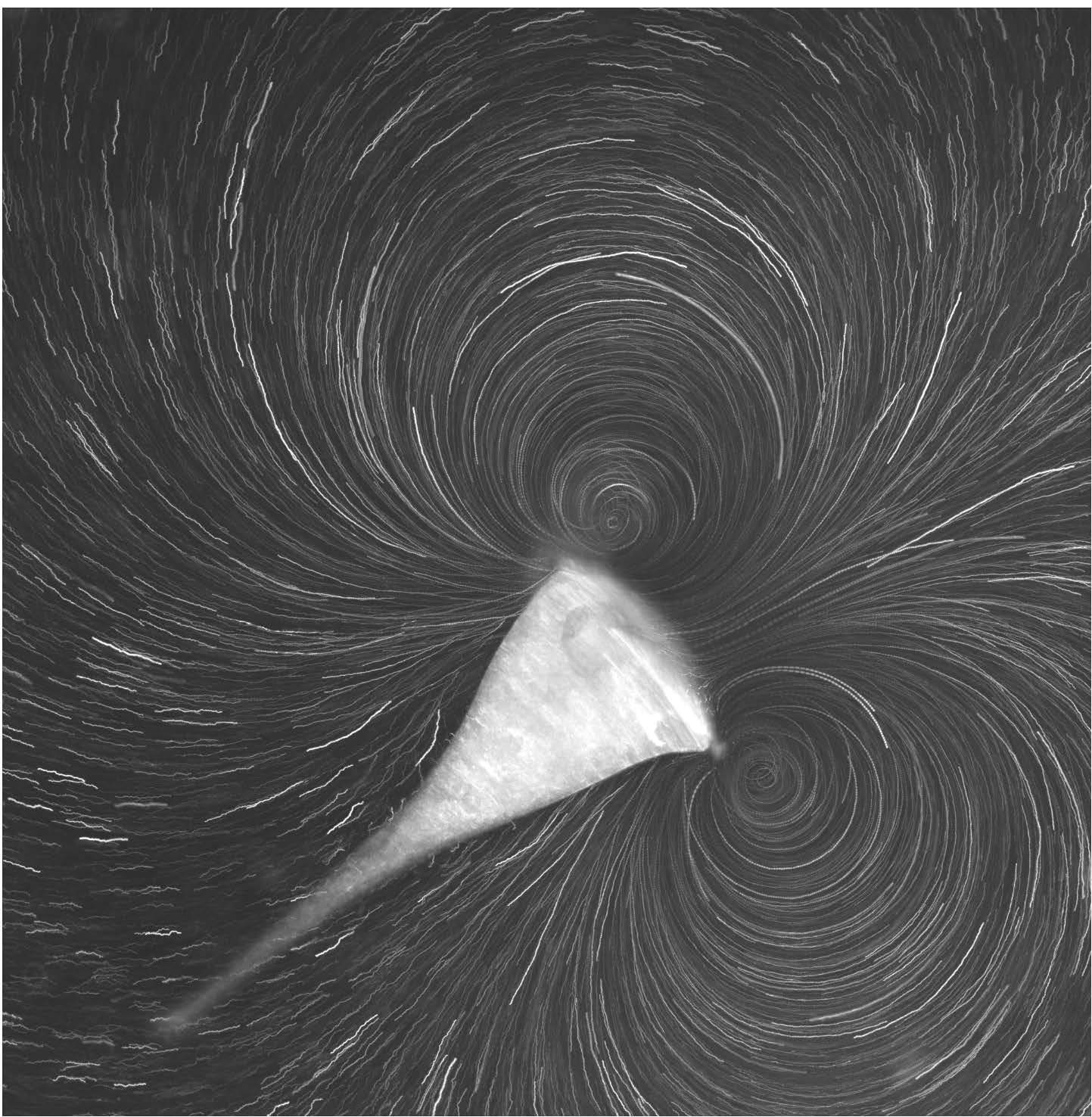 Fluid flow around stentor. Credit: Wallace Marshall and 2015 Physiology course