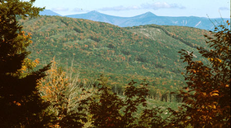 Hubbard Brook Ecosystem Study Hubbard Brook Ecosystem Study