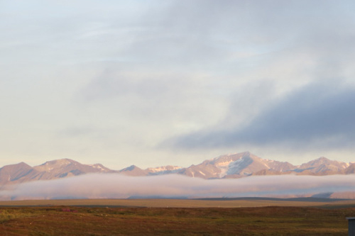 Toolik landscape with mist 2015-07-23toolik-80 Credit Meera Subramanian