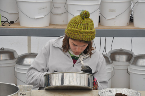 Woman in ski hat inspects tundra sample 2015-07-27pluck-138 Credit Meera Subramanian