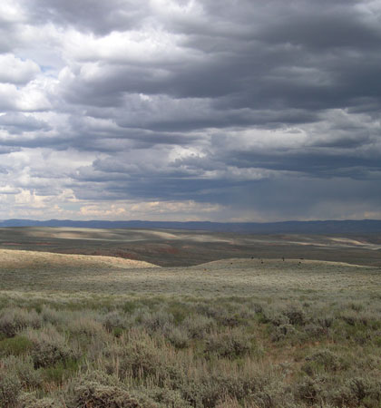 The vast sagebrush landscapes of the western United States are one of the largest ecosystems in North America. Photo: Zoe Cardon