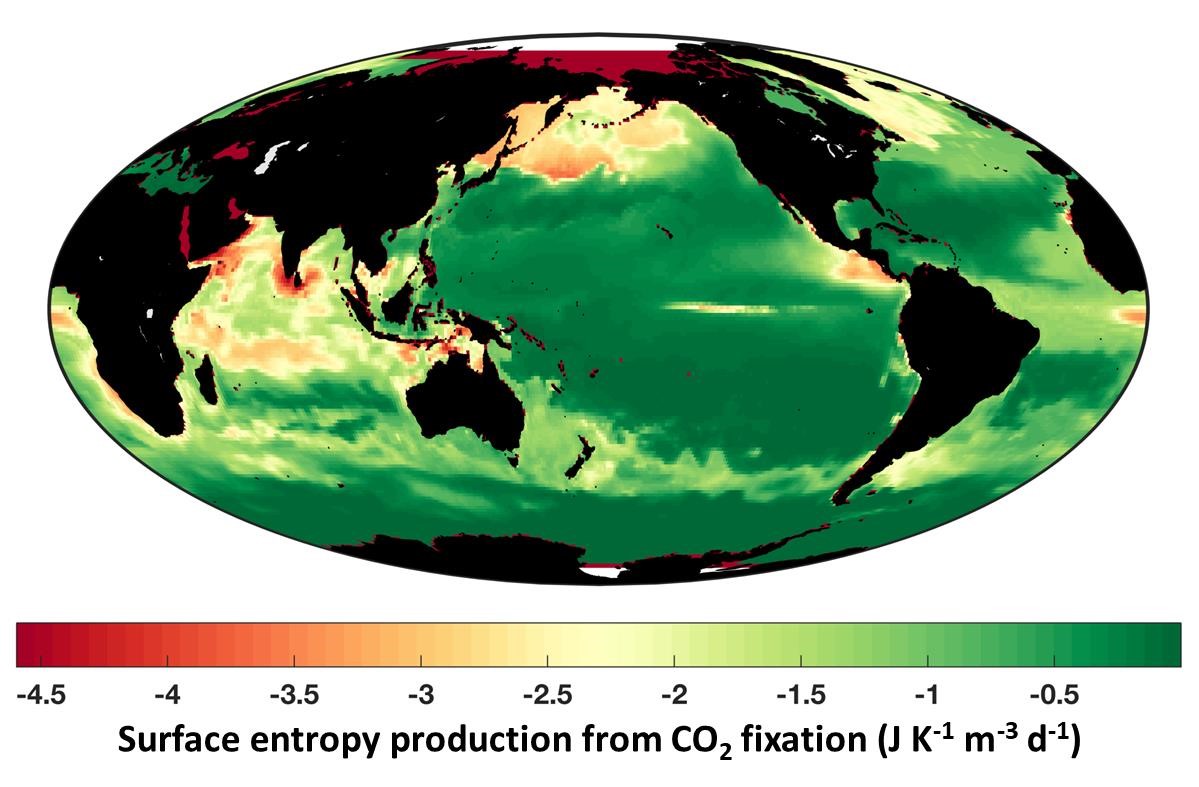 A map of world surface entropy production from carbon dioxide fixation. Credit: Joseph Vallino