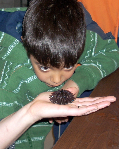 child with animal