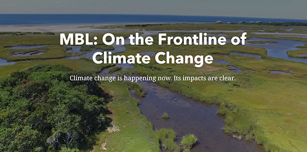 On the Frontline of Climate Change | Marine Biological Laboratory