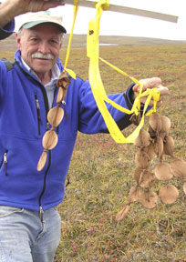 John Hobbie Cellulose Disks hobbie_cellulose