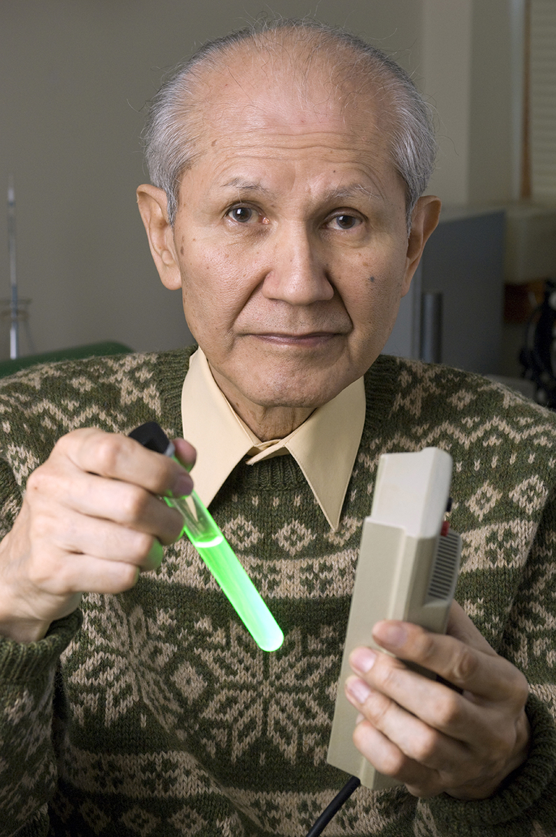 Osamu Shimomura holds a test tube containing green fluorescent protein (GFP) in a water solution. He also holds a lamp that shines ultraviolet light, which causes the GFP to fluoresce bright green. Shimomura purified this small amount of GFP from 20,000 Aequorea specimens. Credit: Tom Kleindinst
