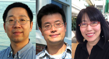Jianwu Tang, Tomomi Tani, and Yuki Hamada (left to right) will develop a novel approach to measure plant photosynthesis and other ecosystem functions that can be used to quantify the impacts of environmental change on ecosystems and agricultural systems. 