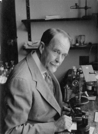 Thomas Hunt Morgan at his bench in the MBL's Crane Laboratory