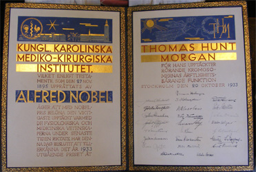 The diploma for T.H. Morgan's 1933 Nobel Prize in Physiology or Medicine
