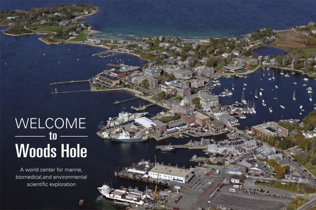 welcome to woods hole cover