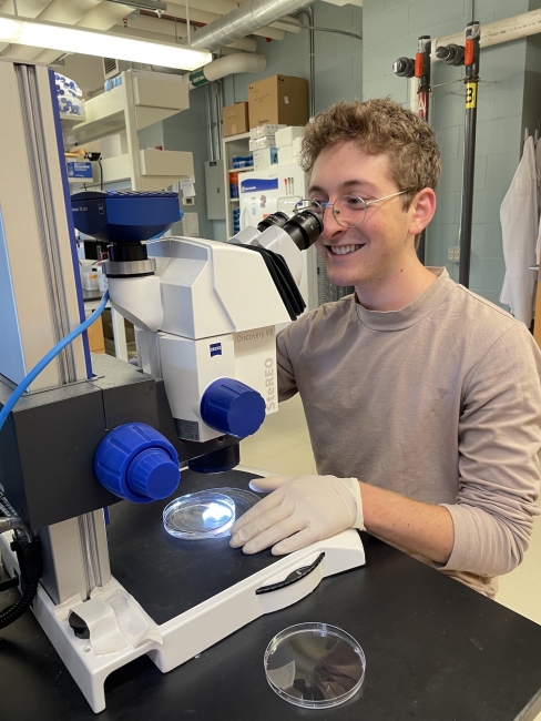 Undergraduate researcher Christian Seldon at a microscope