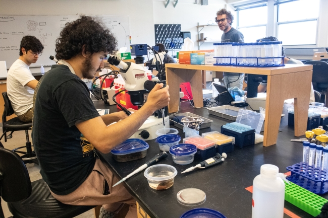 SBD Students in Lab with Andrew Gillis - Credit Emily Greenhalgh1