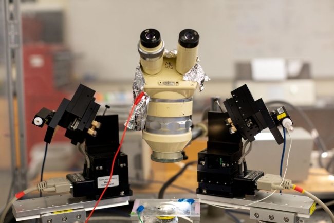 Photo caption: An electrophysiology rig and microscope in the 2024 Neural Systems and Behavior course: Credit: Dee Sullivan 