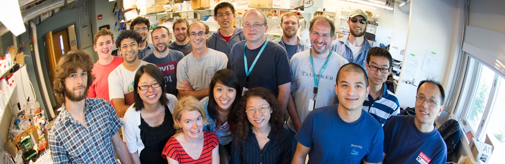 Members of the MBL-HHMI Summer Institute, 2014. Credit Tom Kleindinst