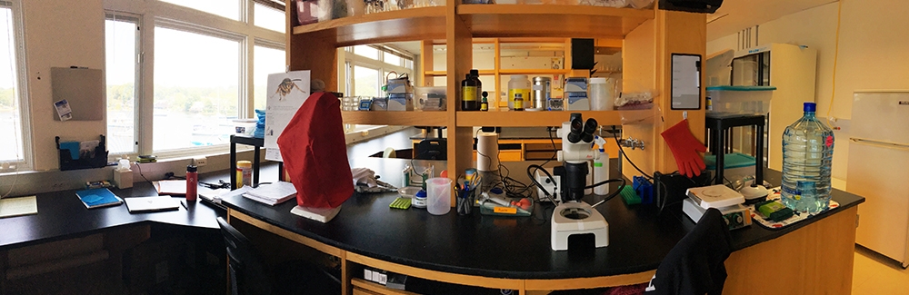 Photo of lab at MBL