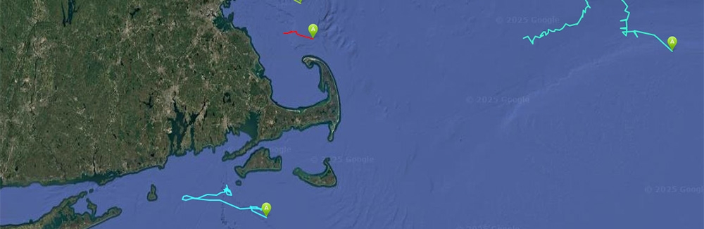 map of marine drifters