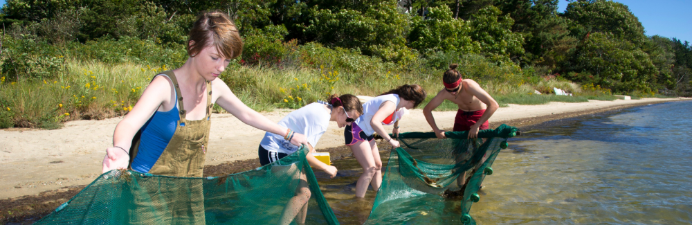 This photo shows four students holding up a green net outside while standing in water.