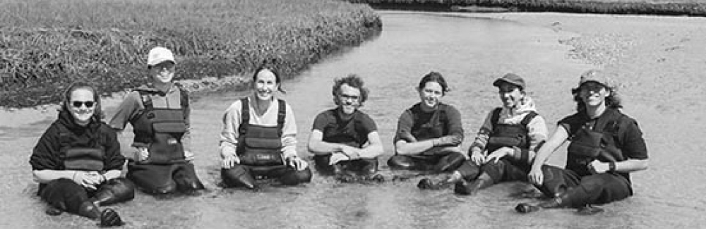 Seven scientists in waders sitting in a salt marsh.