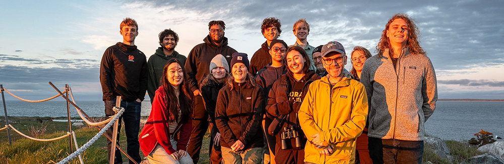 A group of people standing on a hill overlooking the ocean.
