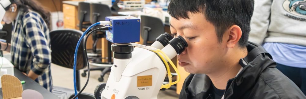 This photo shows a student peering into a microscope with the text "Embryology 2026" on top.