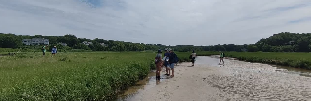 This photo shows a landscape view of students on a marsh, surrounded by sand, water, and grass.