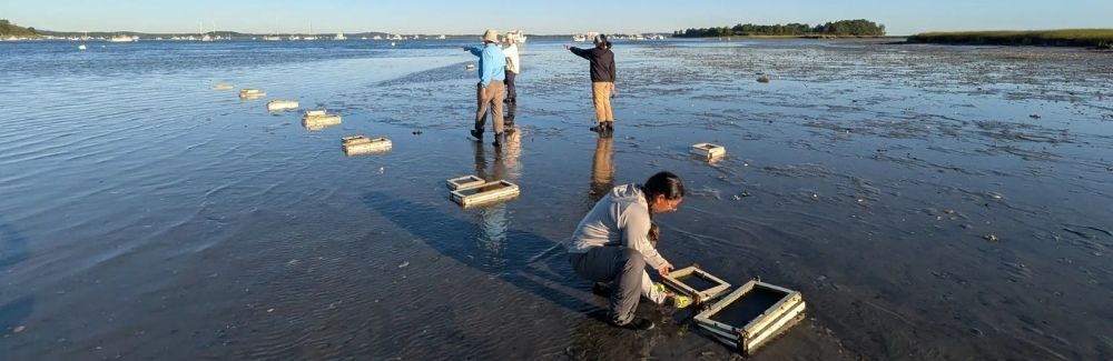 Scientists doing field work