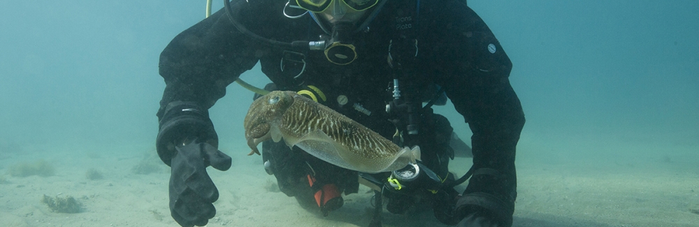Justine Allen and a cuttlefish in the Aegean Sea