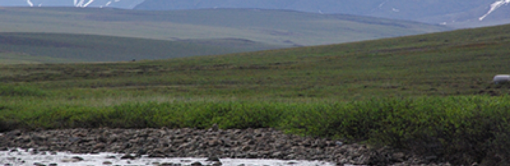 Tundra landscape near Toolik Field Station, with the Brooks Range in the distance.