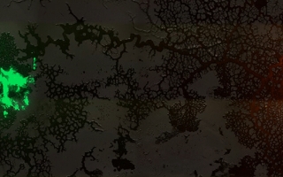 Screenshot of video of slime mold-Physarum polycephalum-Credit Deepak Krishnamurthy