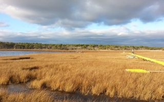 Sage Lot Pond marsh in Mashpee Mass 