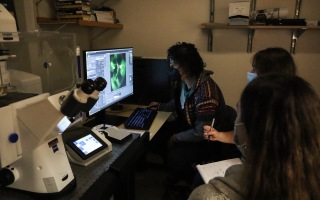 Students in the 2022 Mini-Embryology Course at the MBL examine a sample on a microscope.