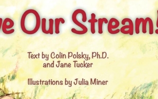 Save Our Stream book cover