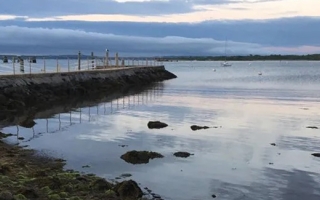 Victoria Sleight and Maryna Lesoway collect animals in early morning when the tide is out in Woods Hole.