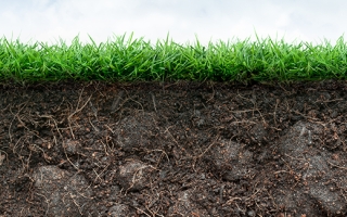 Grass and Soil with roots