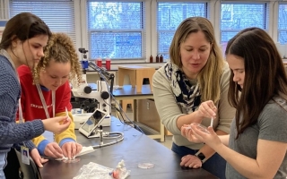 high school students do lab work with MBL's Carrie Albertin