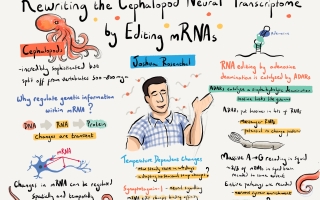 A cartoon illustration of a science talk by Joshua Rosenthal. The talk is titled "Re-writing the Cephalopod Neural Transcriptome by Editing mRNAs"