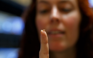 Woman holds up finger with small crustacean on fingertip