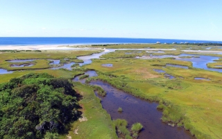 drone shot of salt marsh