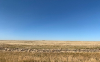 Plains in Alberta, CAnada