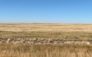 View of the prairie in Alberta, Canada