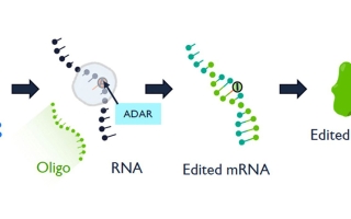 cartoon of RNA editing