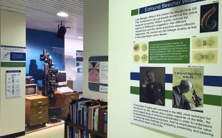 Cell Exhibit at MBL with wall panels, microscope and computer.
