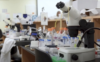 Microscopes lined up for the SBD course